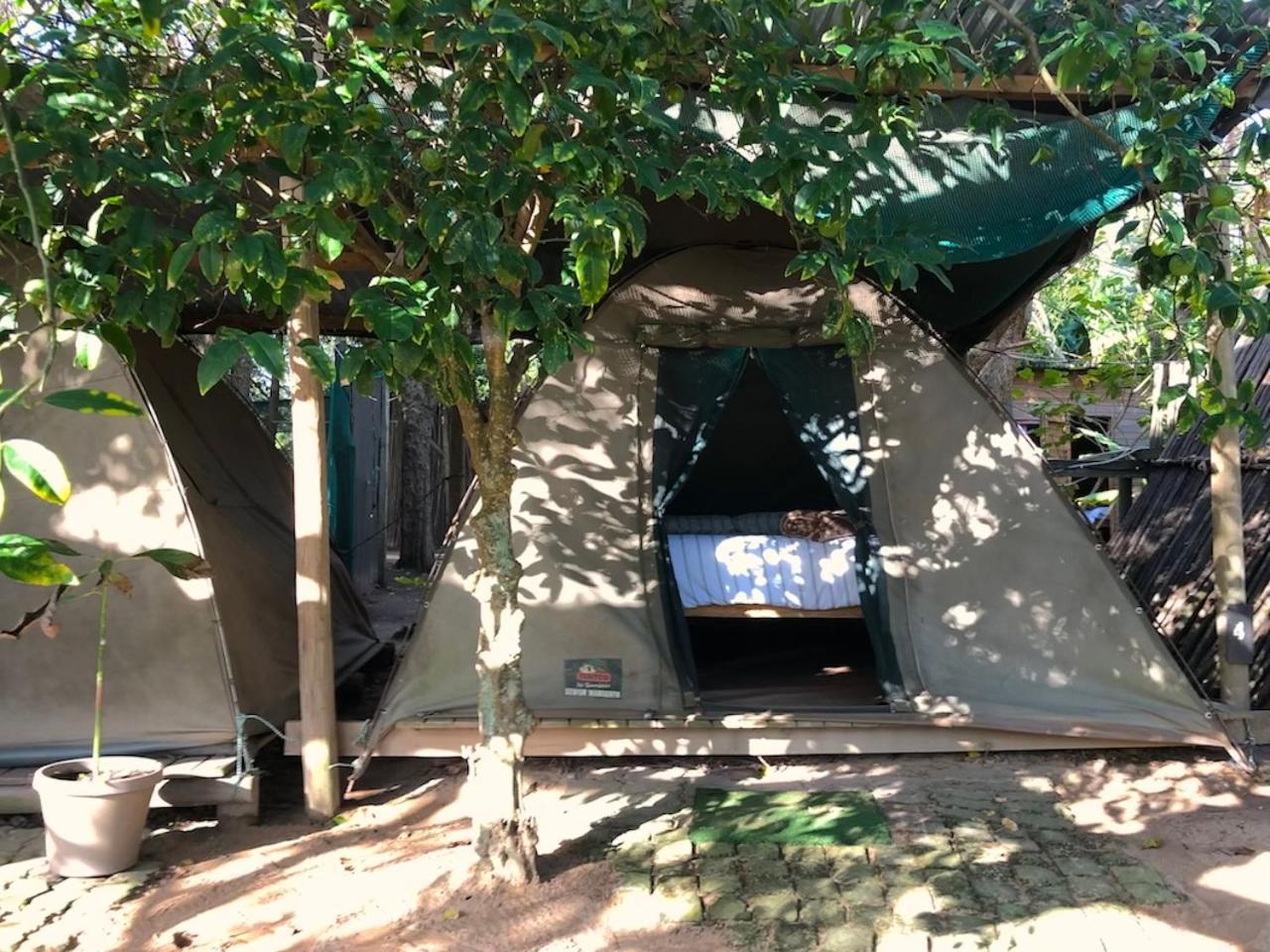 The Riverdeck Accommodation And Backpackers Knysna Exteriör bild