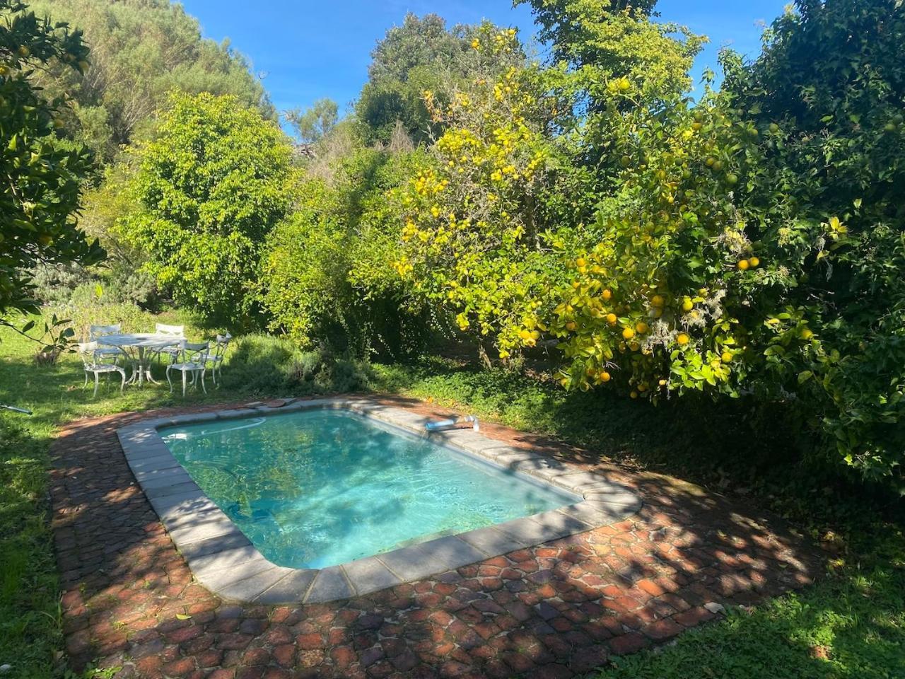 The Riverdeck Accommodation And Backpackers Knysna Exteriör bild