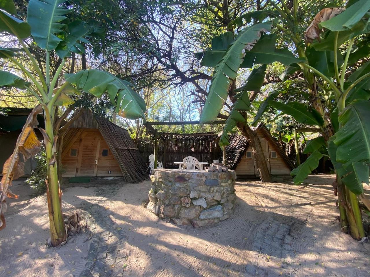 The Riverdeck Accommodation And Backpackers Knysna Exteriör bild