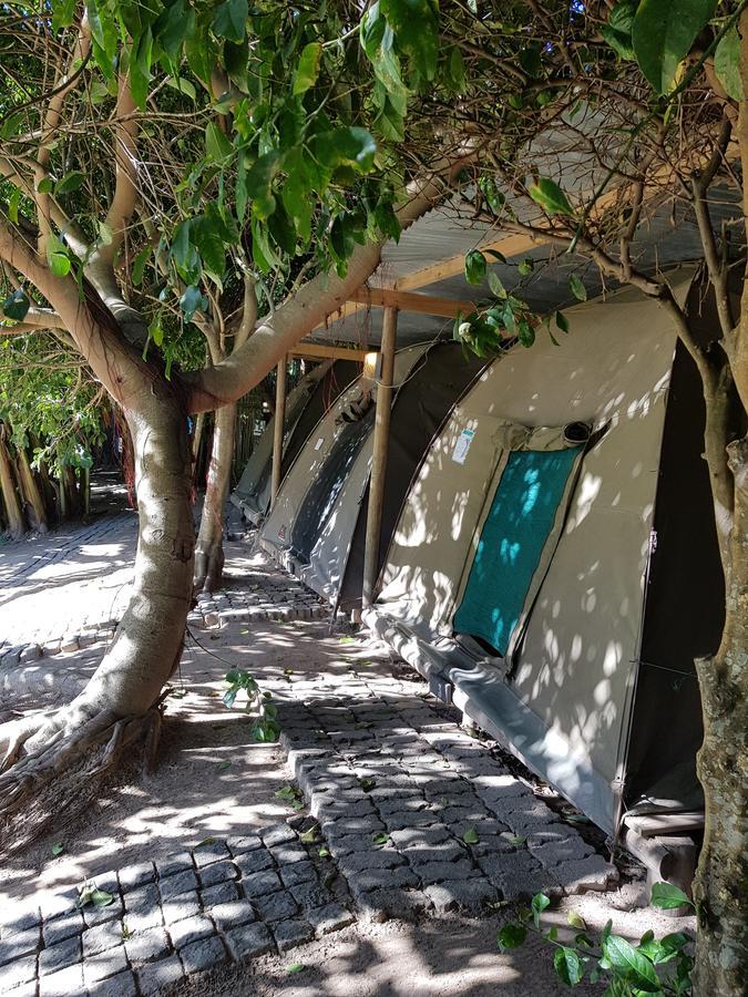 The Riverdeck Accommodation And Backpackers Knysna Exteriör bild